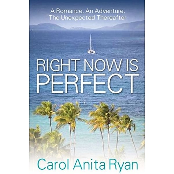 Right Now Is Perfect: A Romance, An Adventure, The Unexpected Thereafter, Carol Anita Ryan