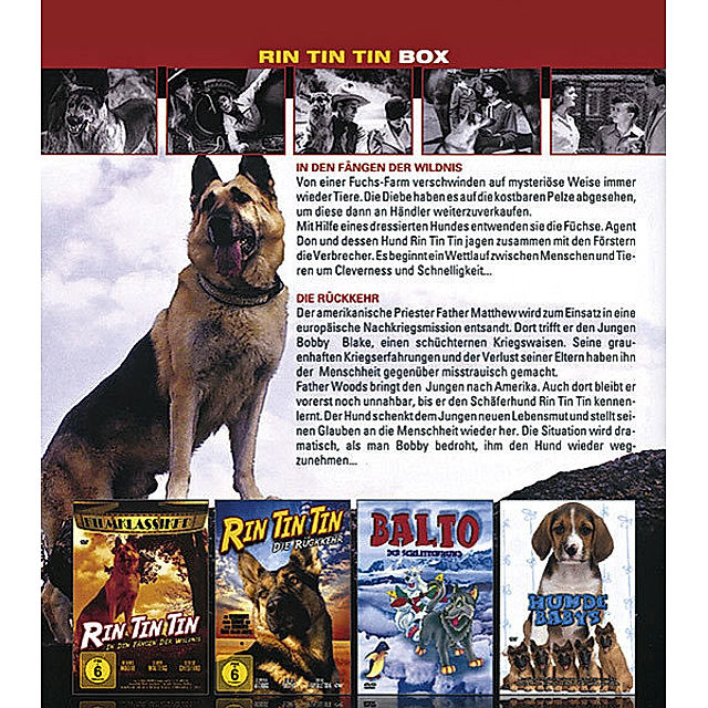 Rin Tin Tin, 2 DVDs DVD jetzt bei Weltbild.de online bestellen