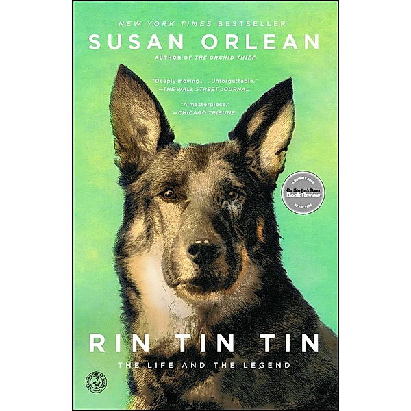 Rin Tin Tin, Susan Orlean