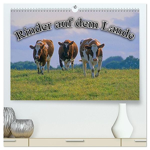 Rinder auf dem Lande (hochwertiger Premium Wandkalender 2024 DIN A2 quer), Kunstdruck in Hochglanz, Bildagentur Geduldig