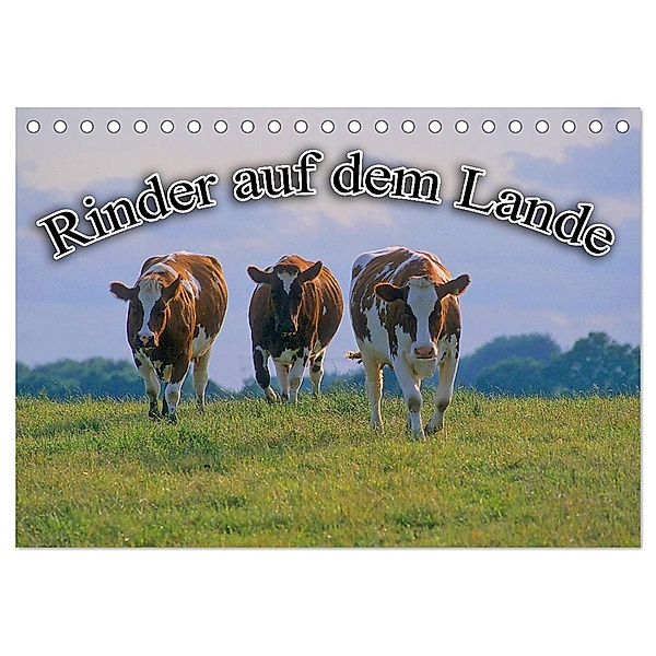 Rinder auf dem Lande (Tischkalender 2024 DIN A5 quer), CALVENDO Monatskalender, Bildagentur Geduldig