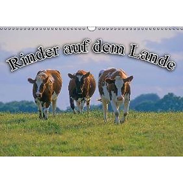 Rinder auf dem Lande (Wandkalender 2015 DIN A3 quer), Bildagentur Geduldig