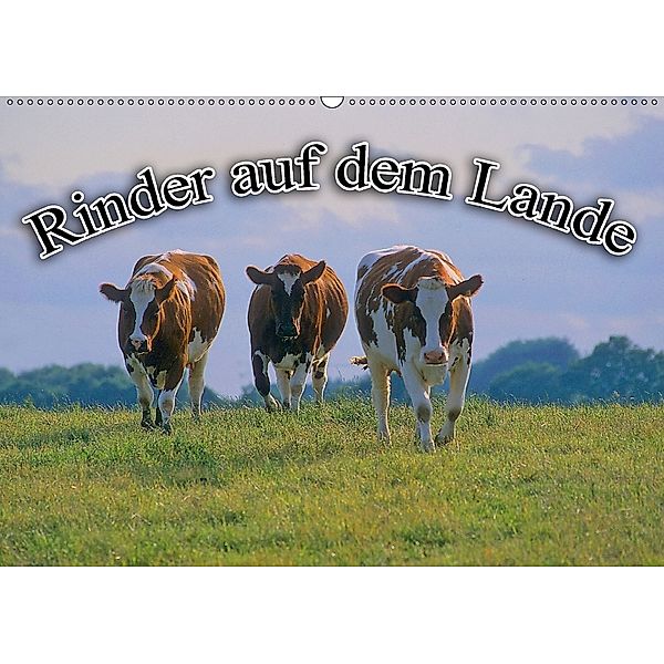 Rinder auf dem Lande (Wandkalender 2018 DIN A2 quer), Bildagentur Geduldig