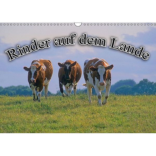 Rinder auf dem Lande (Wandkalender 2018 DIN A3 quer), Bildagentur Geduldig