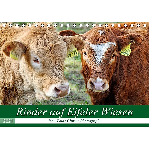 Rinder auf Eifeler Wiesen (Tischkalender 2021 DIN A5 quer), Jean-Louis Glineur