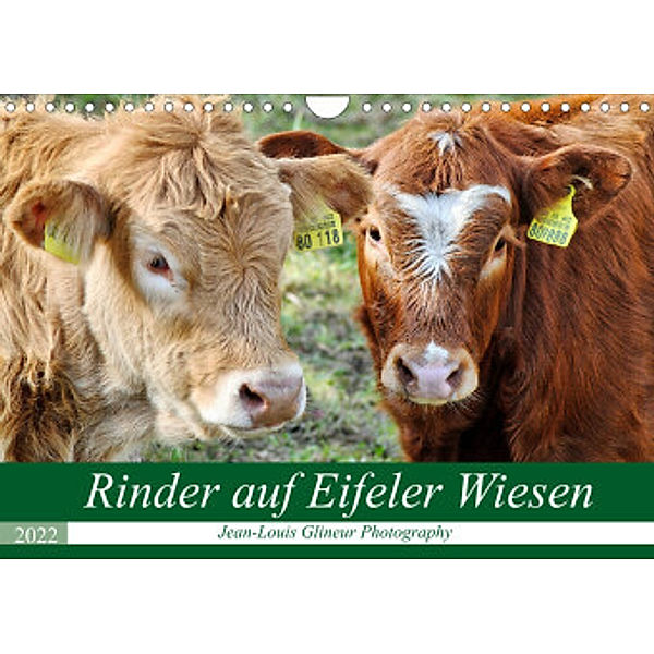 Rinder auf Eifeler Wiesen (Wandkalender 2022 DIN A4 quer), Jean-Louis Glineur