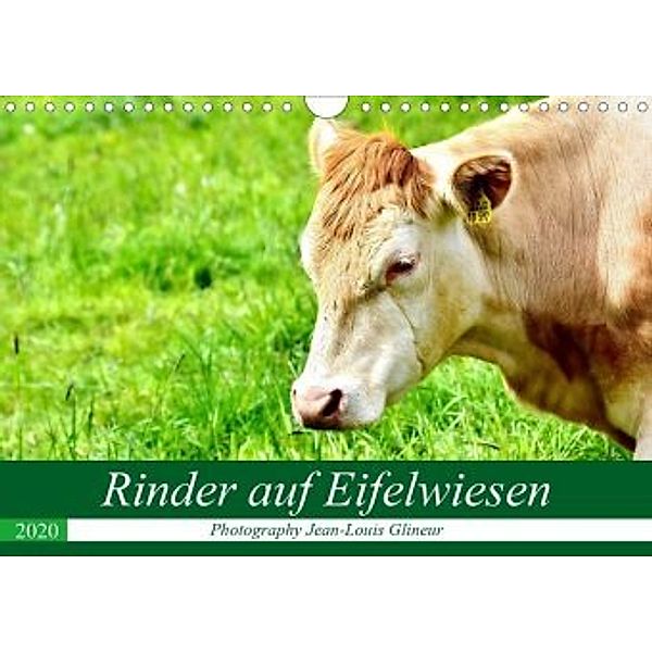 Rinder auf Eifelwiesen (Wandkalender 2020 DIN A4 quer), Jean-Louis Glineur