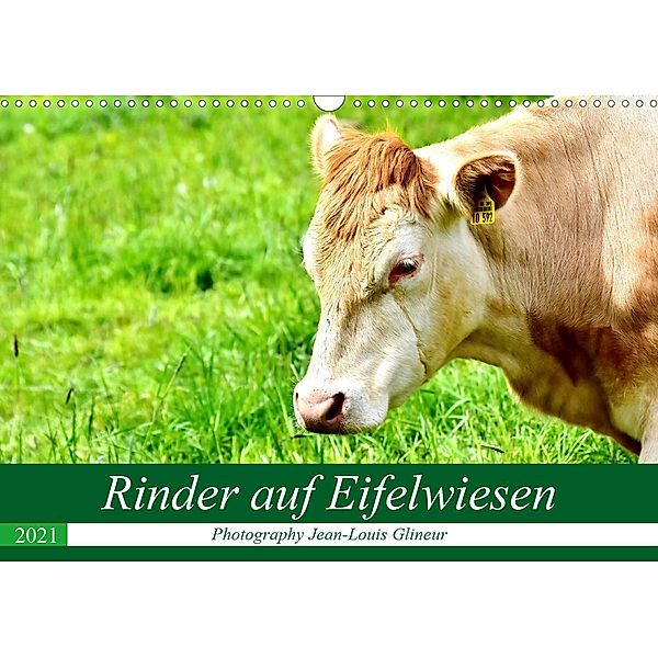 Rinder auf Eifelwiesen (Wandkalender 2021 DIN A3 quer), Jean-Louis Glineur