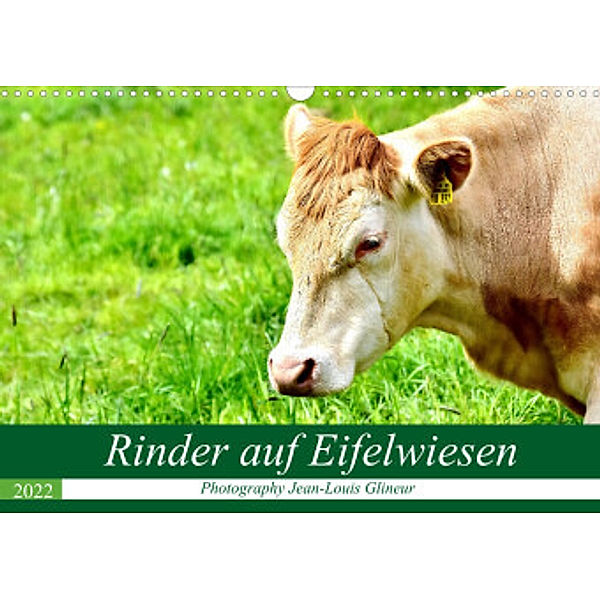 Rinder auf Eifelwiesen (Wandkalender 2022 DIN A3 quer), Jean-Louis Glineur