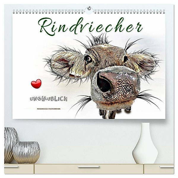 Rindviecher unglaublich (hochwertiger Premium Wandkalender 2025 DIN A2 quer), Kunstdruck in Hochglanz, Calvendo, Peter Roder