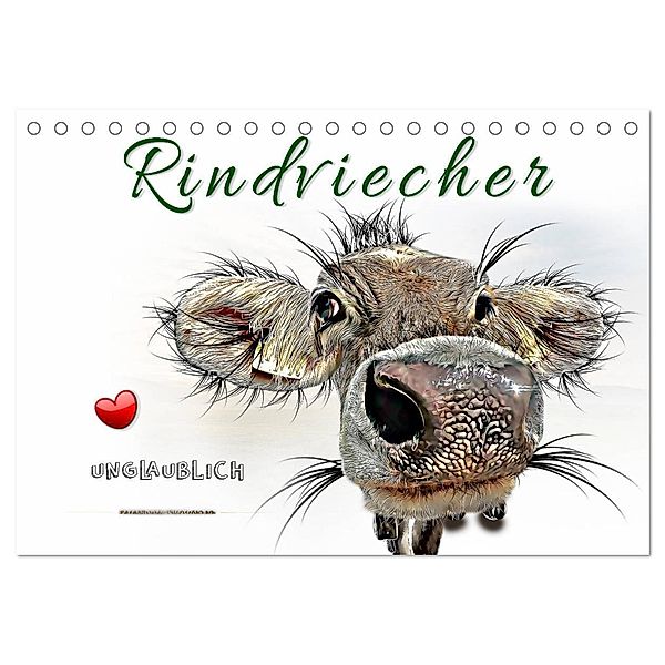 Rindviecher unglaublich (Tischkalender 2024 DIN A5 quer), CALVENDO Monatskalender, Peter Roder