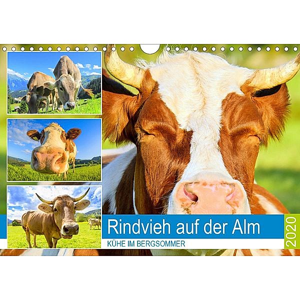 Rindvieh auf der Alm. Kühe im Bergsommer (Wandkalender 2020 DIN A4 quer), Rose Hurley