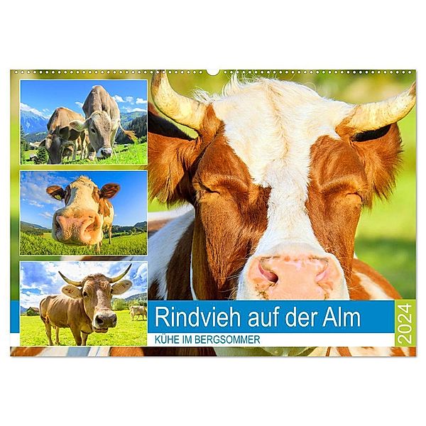 Rindvieh auf der Alm. Kühe im Bergsommer (Wandkalender 2024 DIN A2 quer), CALVENDO Monatskalender, Rose Hurley