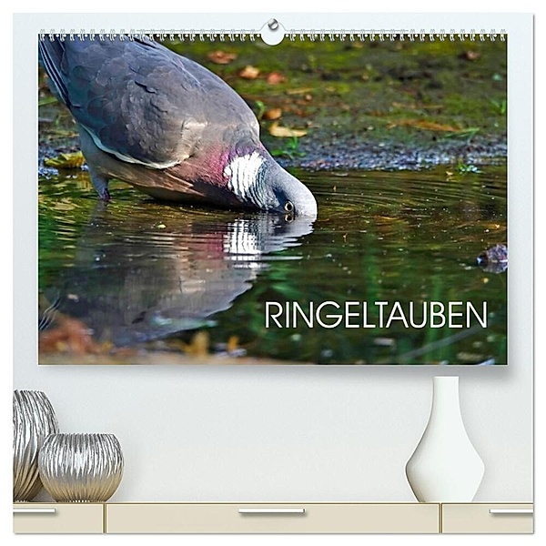 Ringeltauben (hochwertiger Premium Wandkalender 2024 DIN A2 quer), Kunstdruck in Hochglanz, Anette Jäger