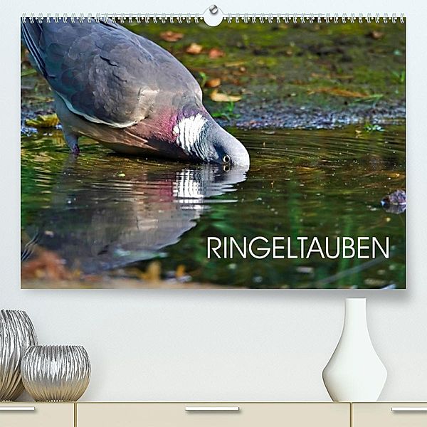 Ringeltauben (Premium, hochwertiger DIN A2 Wandkalender 2023, Kunstdruck in Hochglanz), Anette Jäger