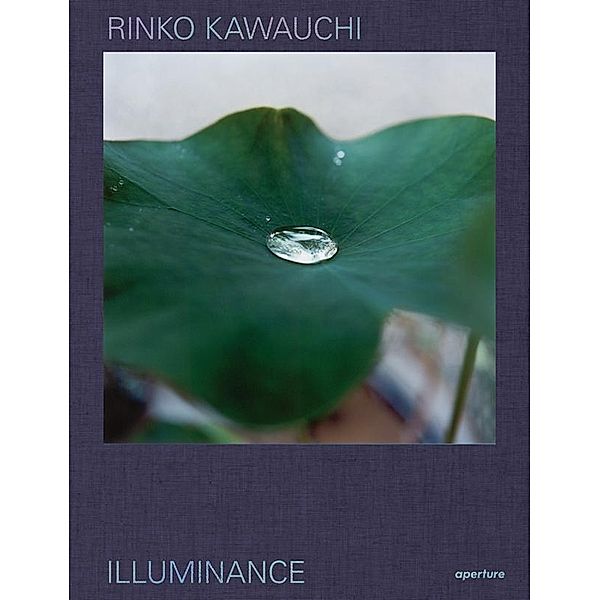 Rinko Kawauchi: Illuminance, Rinko Kawauchi