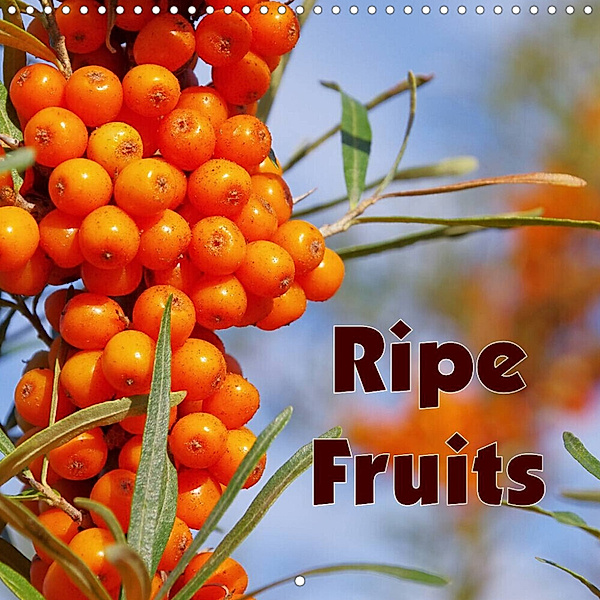 Ripe Fruits (Wall Calendar 2023 300 × 300 mm Square), LianeM