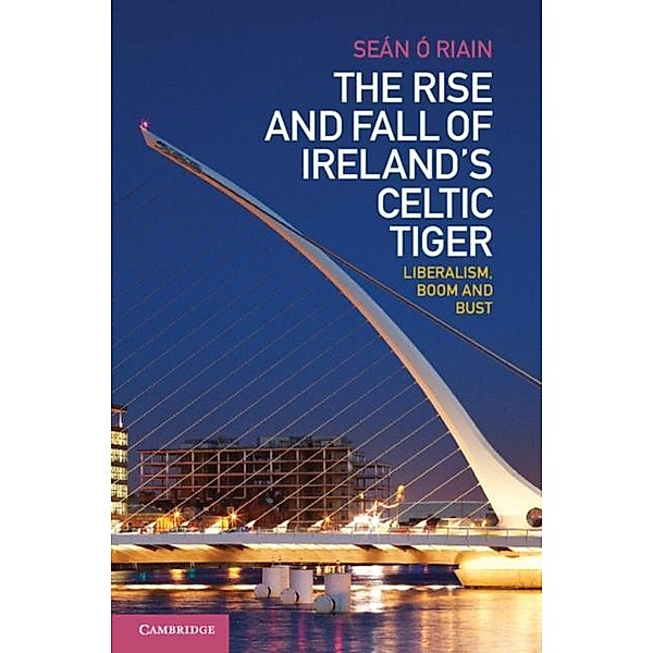 Rise and Fall of Ireland's Celtic Tiger, Sean O Riain