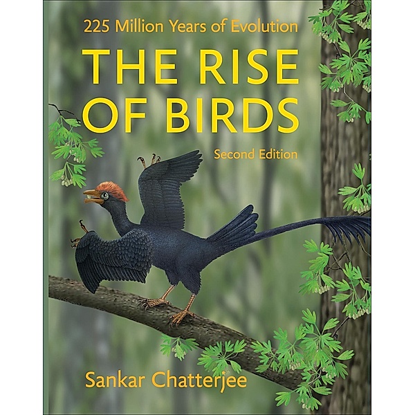 Rise of Birds, Sankar Chatterjee