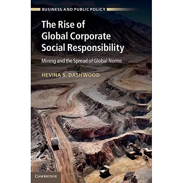 Rise of Global Corporate Social Responsibility, Hevina S. Dashwood