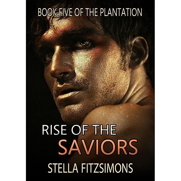 Rise of the Saviors (The Plantation, #5) / The Plantation, Stella Fitzsimons