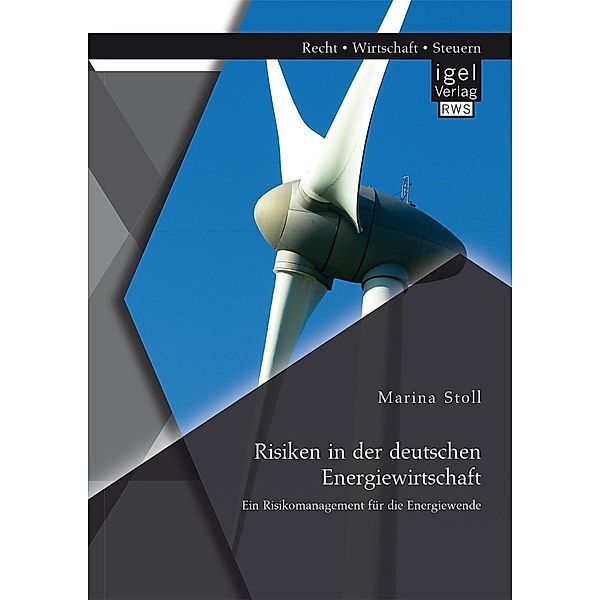 Risiken in der deutschen Energiewirtschaft. Ein Risikomanagement für die Energiewende, Marina Stoll