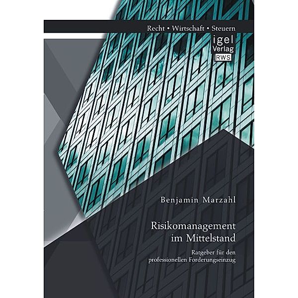 Risikomanagement im Mittelstand: Ratgeber für den professionellen Forderungseinzug, Benjamin Marzahl