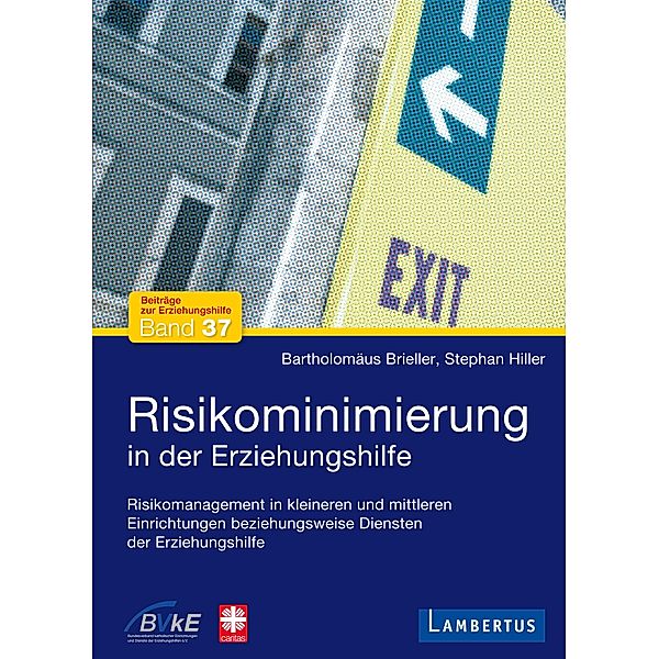 Risikominimierung in der Erziehungshilfe / Beiträge zur Erziehungshilfe, Bartholomäus Brieller, Stephan Hiller