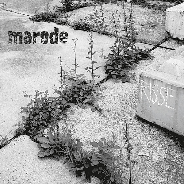 Risse (+Booklet) (Vinyl), Marode