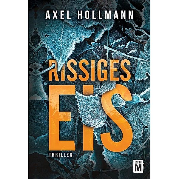 Rissiges Eis, Axel Hollmann