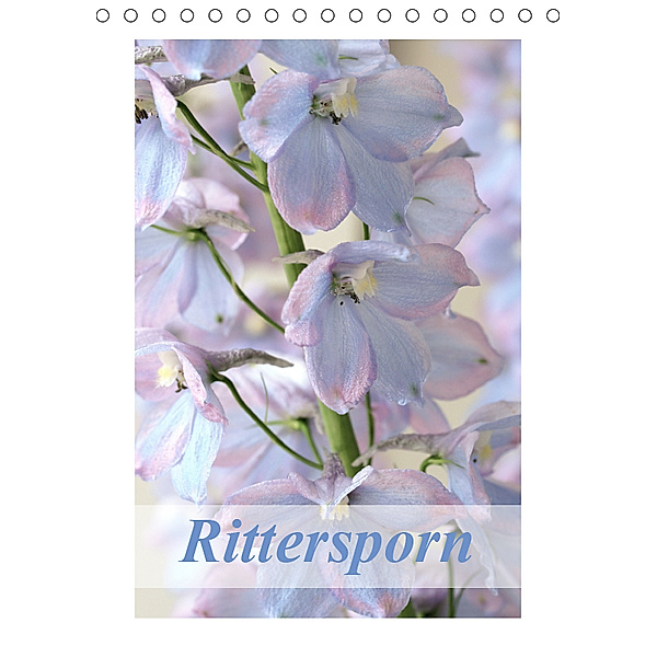 Rittersporn (Tischkalender 2019 DIN A5 hoch), Gisela Kruse
