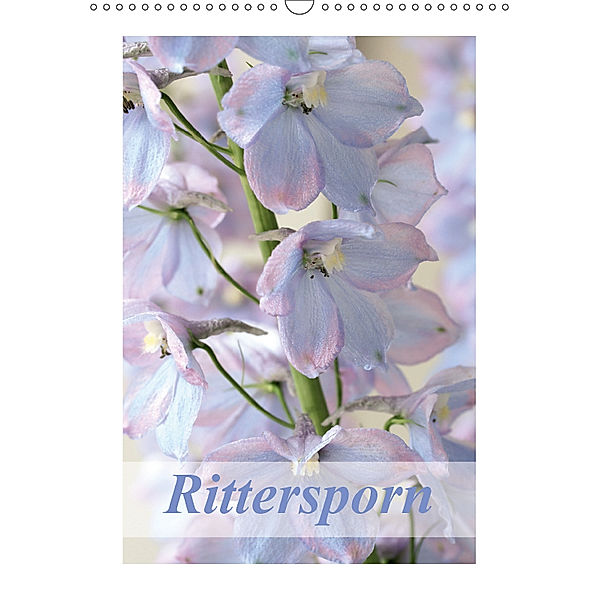 Rittersporn (Wandkalender 2018 DIN A3 hoch), Gisela Kruse