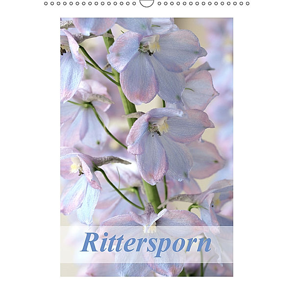 Rittersporn (Wandkalender 2019 DIN A3 hoch), Gisela Kruse