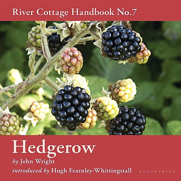 River Cottage Handbook - Hedgerow, John Wright