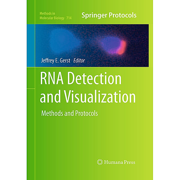 RNA Detection and Visualization