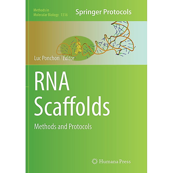 RNA Scaffolds