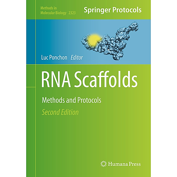 RNA Scaffolds