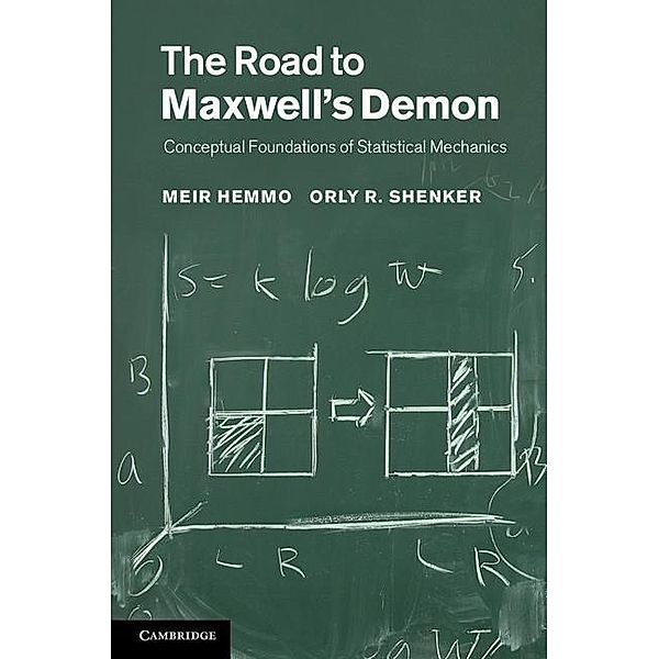 Road to Maxwell's Demon, Meir Hemmo