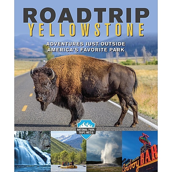 Road Trip Yellowstone, Dina Mishev
