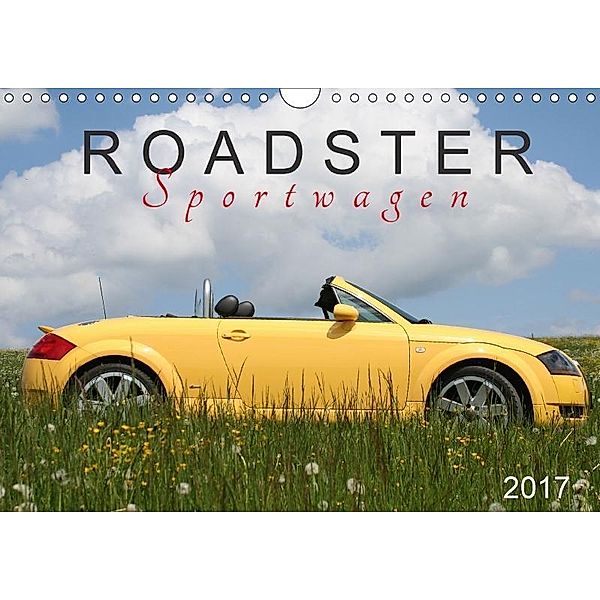 Roadster Sportwagen (Wandkalender 2017 DIN A4 quer), SchnelleWelten