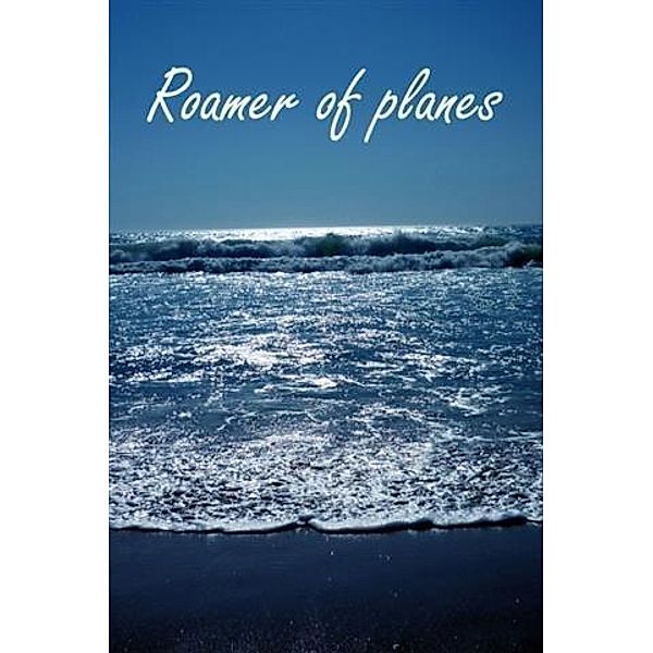 Roamer of Planes, Steve Taylor