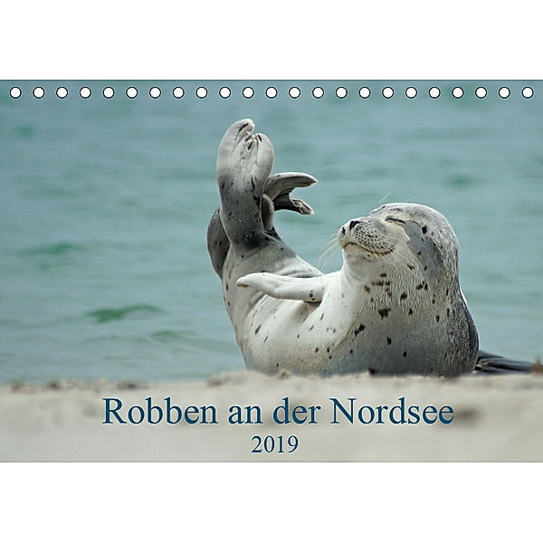 Robben an der Nordsee (Tischkalender 2019 DIN A5 quer), Martina Fornal