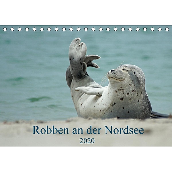 Robben an der Nordsee (Tischkalender 2020 DIN A5 quer), Martina Fornal