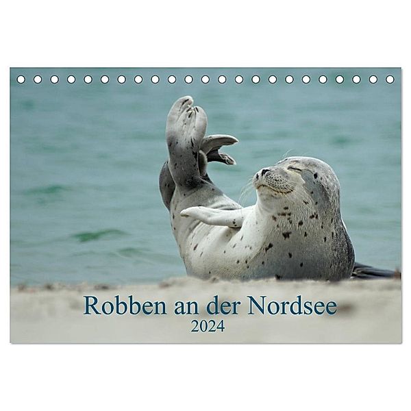 Robben an der Nordsee (Tischkalender 2024 DIN A5 quer), CALVENDO Monatskalender, Martina Fornal