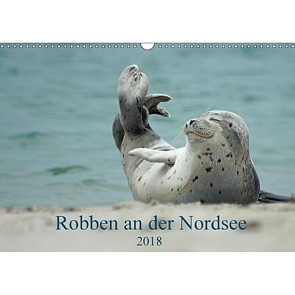 Robben an der Nordsee (Wandkalender 2018 DIN A3 quer), Martina Fornal