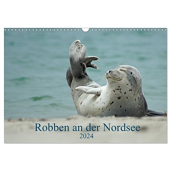 Robben an der Nordsee (Wandkalender 2024 DIN A3 quer), CALVENDO Monatskalender, Martina Fornal