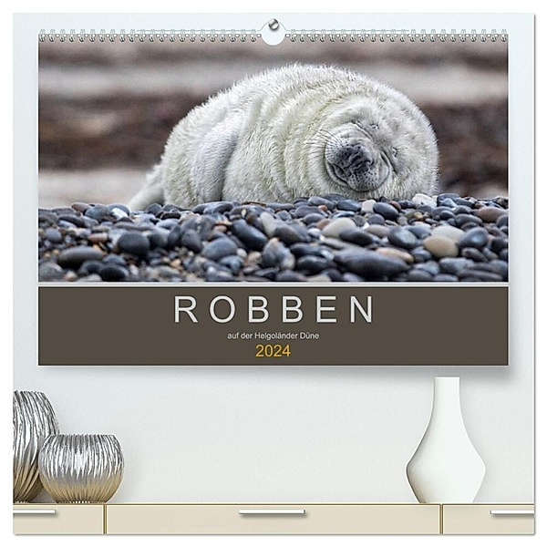 Robben auf der Helgoländer Düne (hochwertiger Premium Wandkalender 2024 DIN A2 quer), Kunstdruck in Hochglanz, Heidi Spiegler