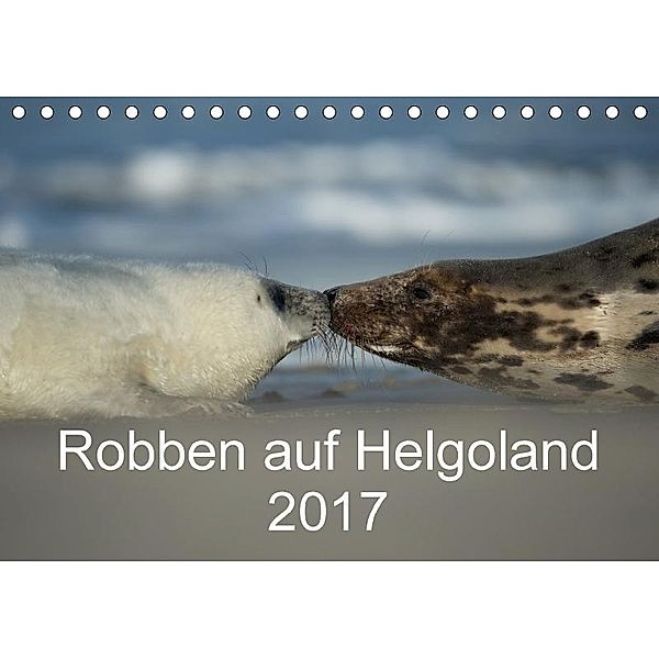 Robben auf Helgoland 2017CH-Version (Tischkalender 2017 DIN A5 quer), Stefan Leimer