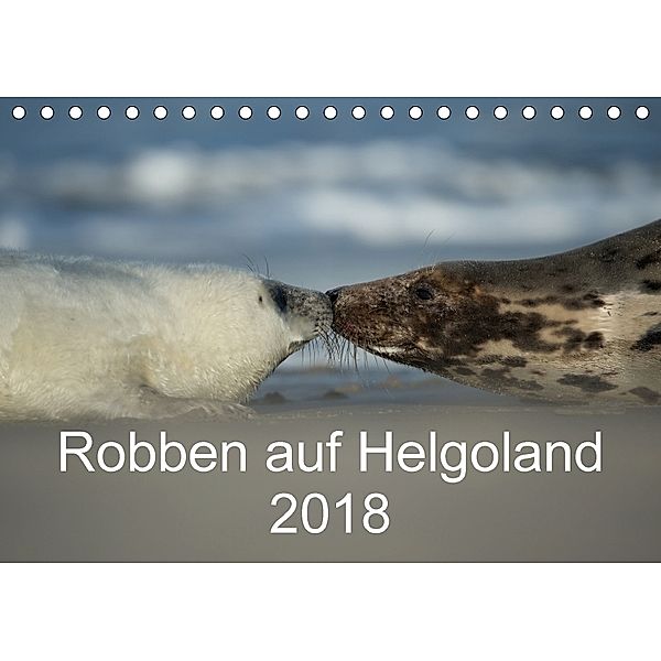 Robben auf Helgoland 2018CH-Version (Tischkalender 2018 DIN A5 quer), Stefan Leimer