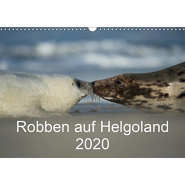 Robben auf Helgoland 2020CH-Version (Wandkalender 2020 DIN A3 quer), Stefan Leimer